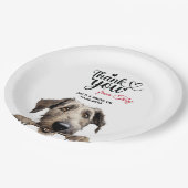 Assiettes En Carton Chien d'Irlande Wolfhound (Angle)