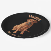 Assiettes En Carton Chien du Labrador jaune rouge renard (Angle)