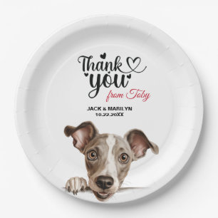 Assiettes En Carton Chien gris italien