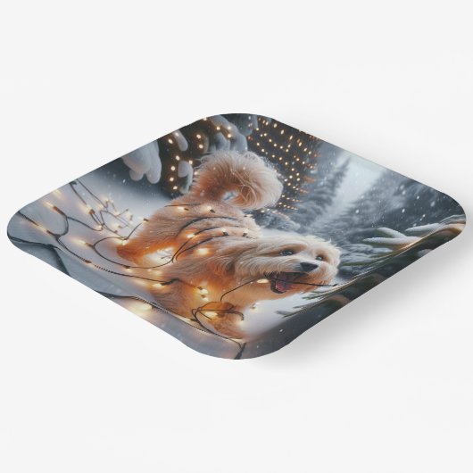Assiettes En Carton Chien Havanais Dans Les Lumières De Noël Tangées (Angulaire)