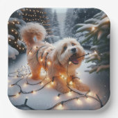 Assiettes En Carton Chien Havanais Dans Les Lumières De Noël Tangées (Recto)