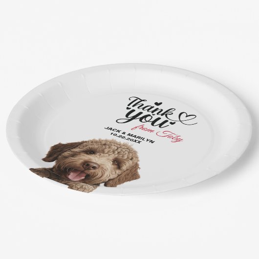 Assiettes En Carton Chien Lagotto Romagnoto (Angle)