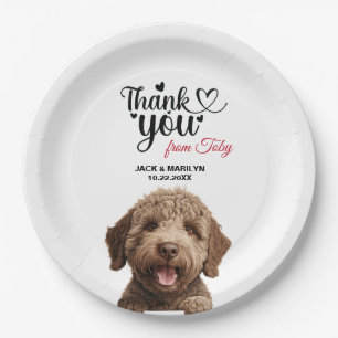 Assiettes En Carton Chien Lagotto Romagnoto