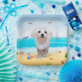 Assiettes En Carton Chien maltais sur la plage (Fête)