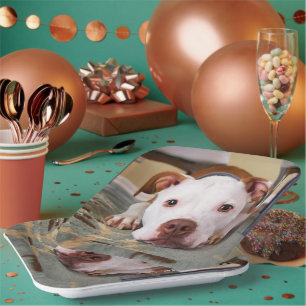 Assiettes En Carton Chien mignon