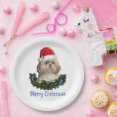 Assiettes En Carton Chien Shih-Tsu articles de Noël (Fête)