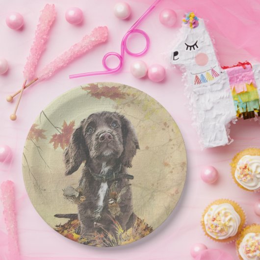 Assiettes En Carton Chien spaniel spaniel cocker au chocolat (Fête)
