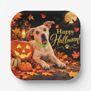 Assiettes En Carton Chien Surpris Joyeux Halloween