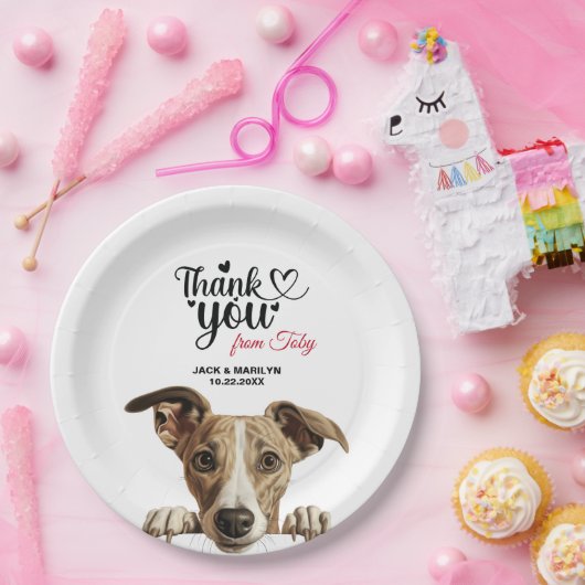 Assiettes En Carton Chien Whippet (Fête)
