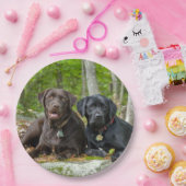 Assiettes En Carton Chiens Chiens Marionnettes Black Lab Chocolat Labr (Fête)