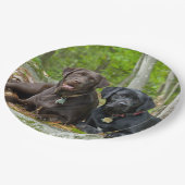 Assiettes En Carton Chiens Chiens Marionnettes Black Lab Chocolat Labr (Angle)