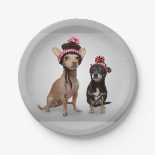 Assiettes En Carton Chiens de chiwawa avec la photo de casquettes