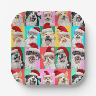 Assiettes En Carton Chiens et chats avec barbe de Père Noël