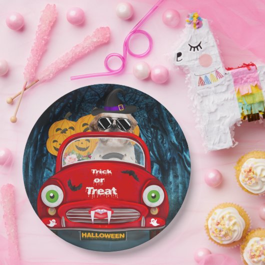 Assiettes En Carton Chih Tzu Chien Conduite Voiture Effrayant Hallowee (Fête)