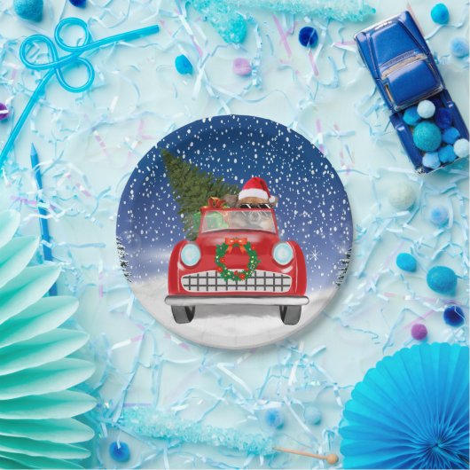 Assiettes En Carton Chihuahua Chien Conduite Voiture En Noël De Neige (Fête)