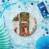 Assiettes En Carton Chihuahua Chien Noël (Fête)
