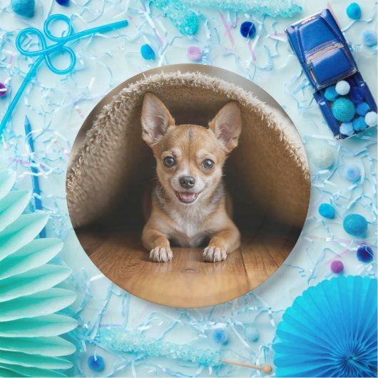 Assiettes En Carton Chihuahua Chig sous un tapis (Fête)