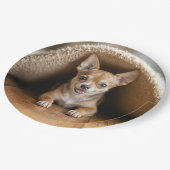 Assiettes En Carton Chihuahua Chig sous un tapis (Angle)