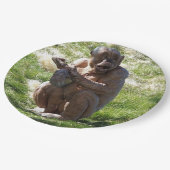 ASSIETTES EN CARTON CHIMPANZEE (Angle)