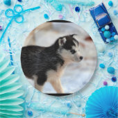 Assiettes En Carton chiot de chien de traîneau sibérien (Fête)