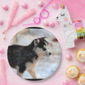 Assiettes En Carton chiot de chien de traîneau sibérien (Fête)