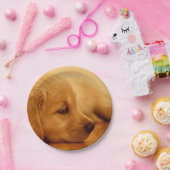 Assiettes En Carton Chiot Golden Retriever (Fête)