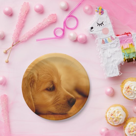 Assiettes En Carton Chiot Golden Retriever (Fête)