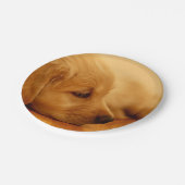 Assiettes En Carton Chiot Golden Retriever (Angle)