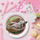 Assiettes En Carton Chiot mignon dans un gant de base-ball (Fête)