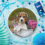 Assiettes En Carton Chiot mignon de chien de beagle en partie heureuse (Fête)