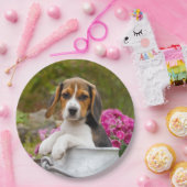 Assiettes En Carton Chiot mignon de chien de beagle en partie heureuse (Fête)