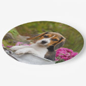 Assiettes En Carton Chiot mignon de chien de beagle en partie heureuse (Angle)