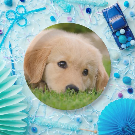 Assiettes En Carton Chiot mignon de golden retriever rêvant, partie (Fête)