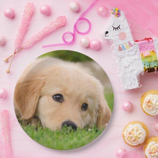 Assiettes En Carton Chiot mignon de golden retriever rêvant, partie (Fête)