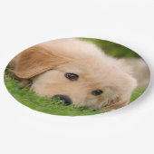 Assiettes En Carton Chiot mignon de golden retriever rêvant, partie (Angle)