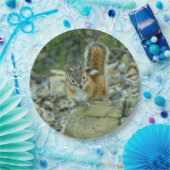 Assiettes En Carton Chipmunk dans le parc national des Glaciers (Fête)