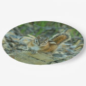 Assiettes En Carton Chipmunk dans le parc national des Glaciers (Angle)
