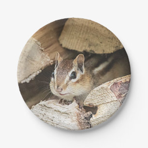 Assiettes En Carton Chipmunk dans une pile de bois