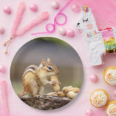 Assiettes En Carton Chipmunk mangeant une arachide (Fête)