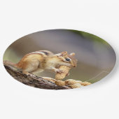 Assiettes En Carton Chipmunk mangeant une arachide (Angle)