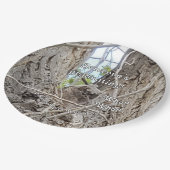 Assiettes En Carton Chouette-bébé dans l'arbre Un diplômé qui (Angle)