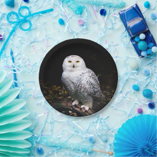 Assiettes En Carton Chouette hivernale majestueuse (Fête)