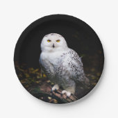 Assiettes En Carton Chouette hivernale majestueuse (Devant)