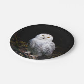 Assiettes En Carton Chouette hivernale majestueuse (Angle)