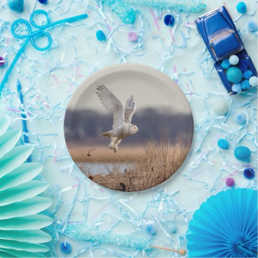 Assiettes En Carton Chouette neigeuse décolle (Fête)