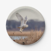 Assiettes En Carton Chouette neigeuse décolle (Devant)