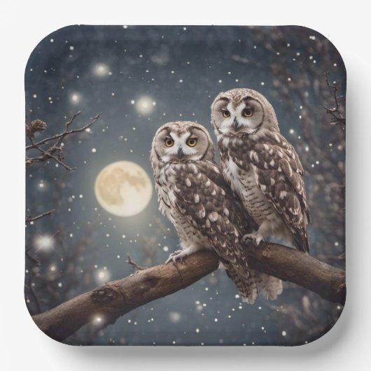 Assiettes En Carton Chouettes avec Pleine lune (Recto)