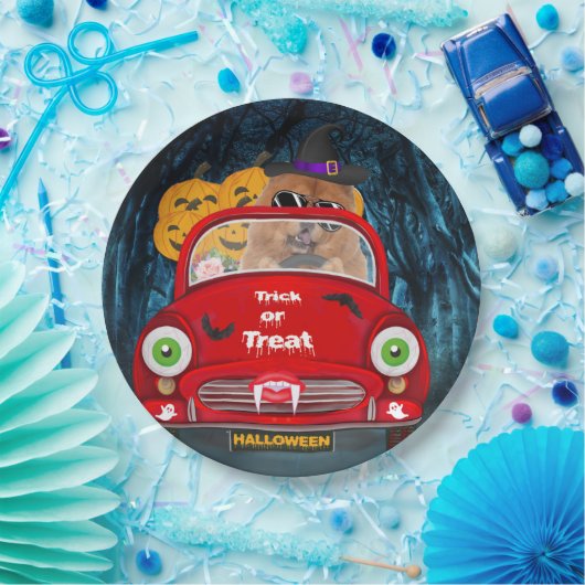 Assiettes En Carton Chow Chow Chig Conduire voiture effrayant Hallowee (Fête)