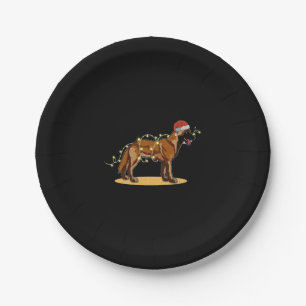 Assiettes En Carton Christmas Lights Belgian Malinois