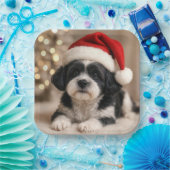 Assiettes En Carton Christmas Shih Tzu Dog With Santa Hat (Fête)